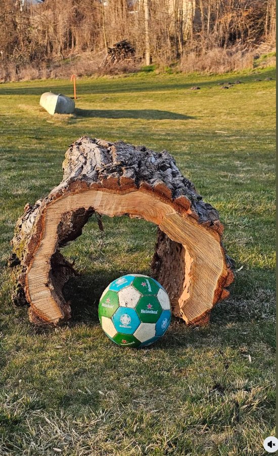 Kmen stromu s otvorem a zeleným fotbalovým míčem