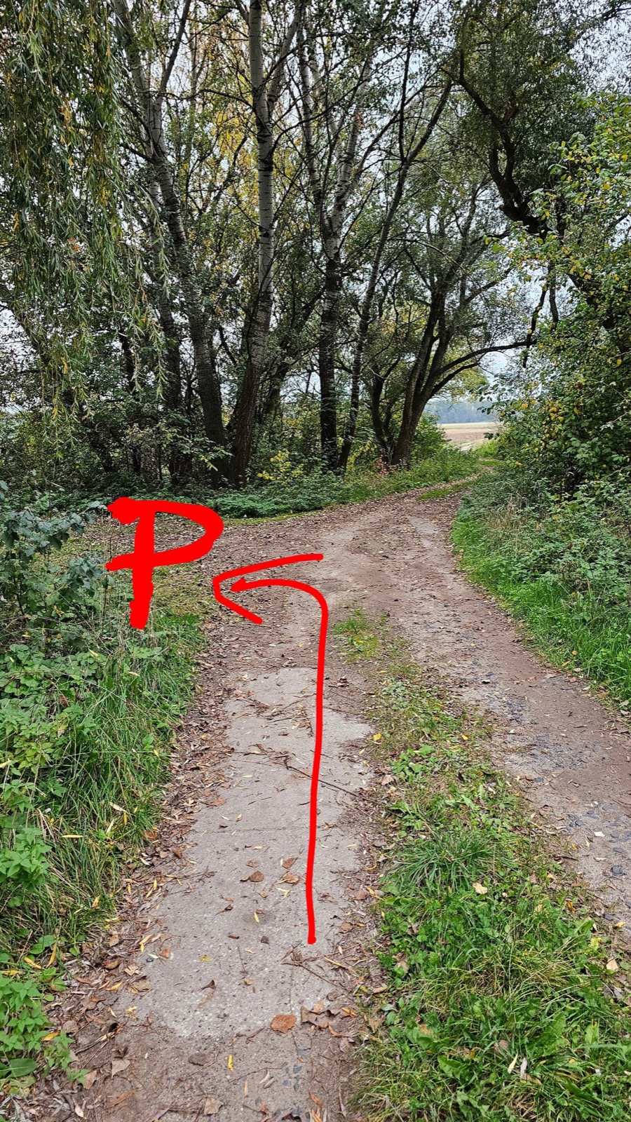 Šipka ukazující vjezd na parkoviště